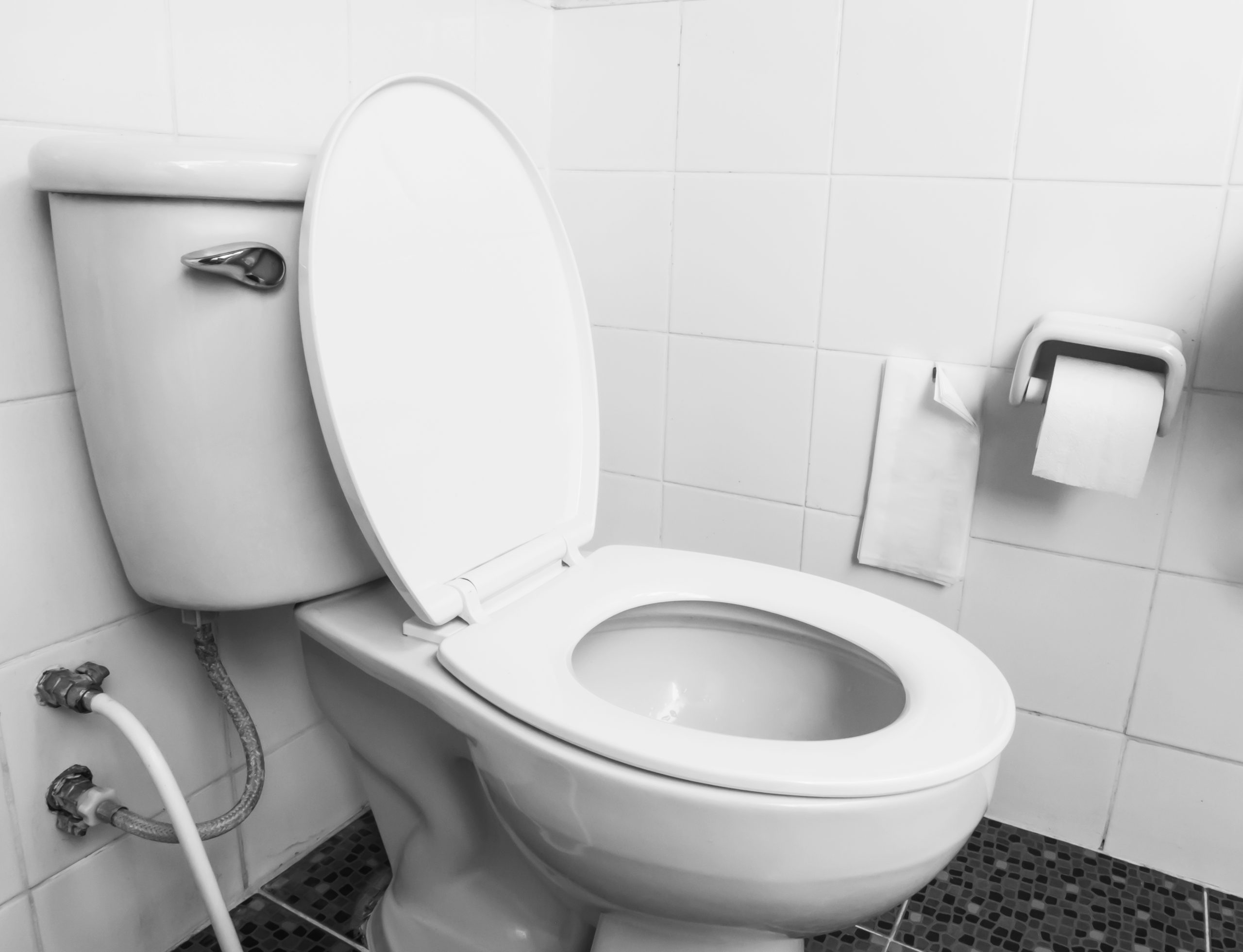 Desentupimento de Vasos Sanitários em Curitiba: Soluções