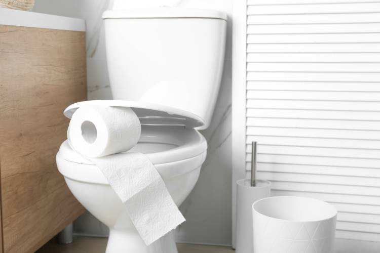 Papel higiênico pode entupir vasos sanitários?